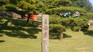 平日でしたがたくさんの観光客