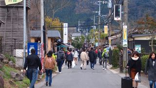 散策が楽しいです