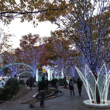 広場に降りてきました