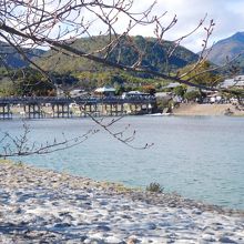 中の島からの眺め
