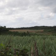 池間島のなかの低地