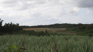 池間島のなかの低地