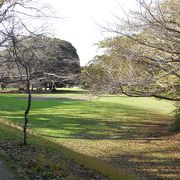 ファミリーにおすすめの公園