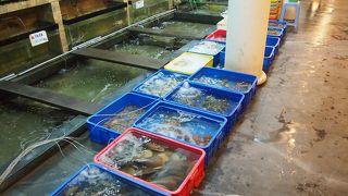 普通の海鮮料理店