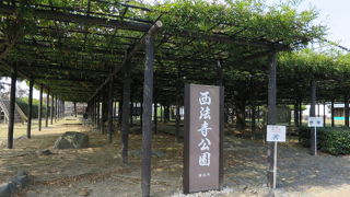 豊田熊野記念公園