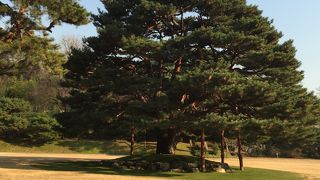 青瓦台見学ツアー