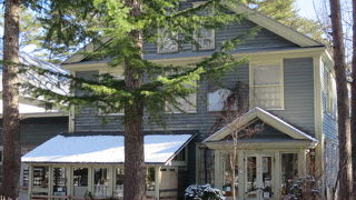 小さな静かな森にある美術館