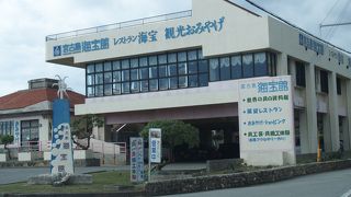 珍しい貝も多い