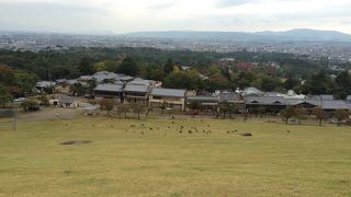 奈良の町並みを一望