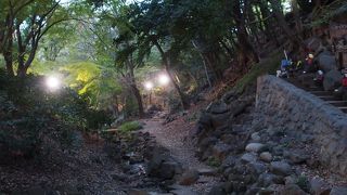 今年は紅葉がいまいちなのかも