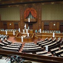 テレビで見る一コマみたいです。