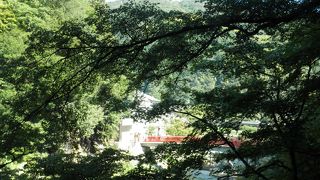 緑豊かな園地を歩いて散策しました