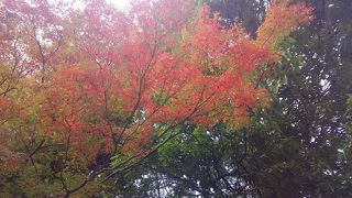 都心のオアシス