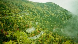 道沿いでも楽しめる