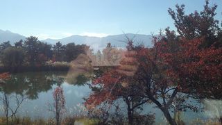 賞心目的美麗風景