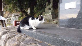 山から千光寺へ