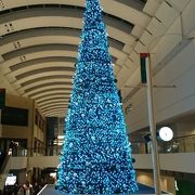 クリスマスツリー☆