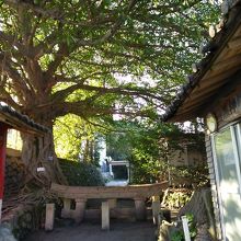 今は小学校の脇にひっそり。