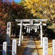 入り口の鳥居の側には　大きな銀杏の木があります。