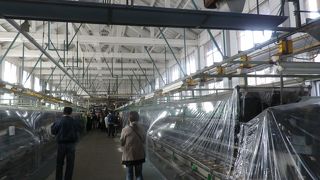 自動繰糸機を見ることができます