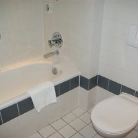 ごく普通。明るくて使いやすいです。シャワーヘッドは外せます。