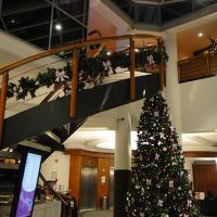 １２／８朝になったらロビーにクリスマスの飾りつけがされました