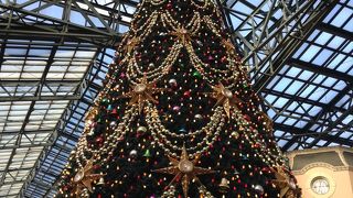 クリスマスツリーがキレイ☆