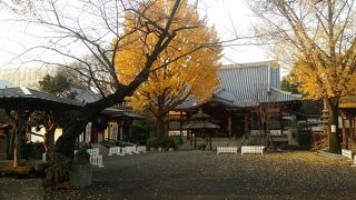 山手通り沿いにある由緒あるお寺です