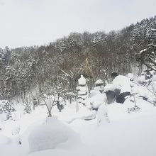 施設からの景色