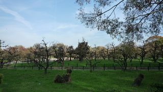 豊臣秀頼の貢献人の屋敷が名前の由来