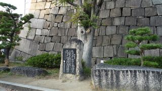 残念石なのに立派な石碑があります