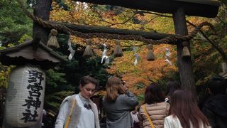 紅葉はいまひとつ・・・