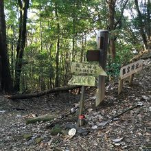 岩間山正法寺、醍醐寺への道には倒木があります。