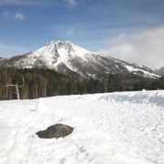 豊富な雪と広大なゲレンデ