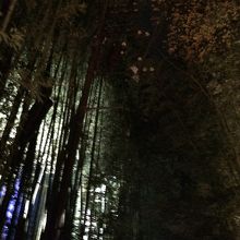 ライトアップもされていました。