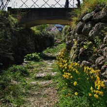 園内のお馬路