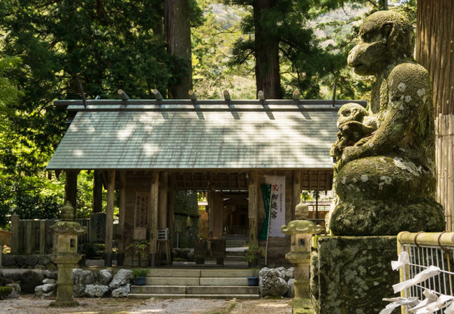 珍しくも、犬ではなくて猿が社殿を守っています