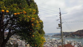 坂が多いのできつい