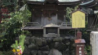 パワーを感じました