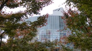 紅葉の隙間から