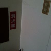 そこら辺にある蜘蛛の巣