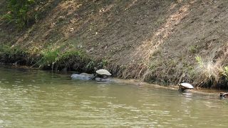 いい思い出になりますよ