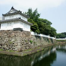 お堀越しに見た大分城址公園