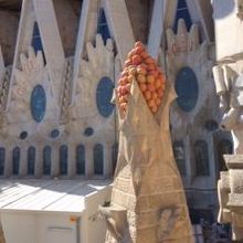 実際に歩くとこんな景色が楽しめます