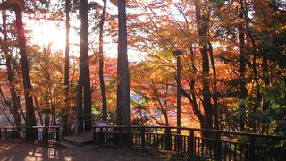 紅葉の名所だと思います