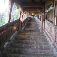 屋上から裏山に続く階段。その上に森林露天風呂がある。