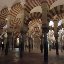 朝でもこんな感じ