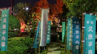 紅葉が美しかったです