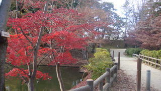 一部紅葉が残っていました