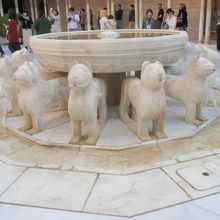 かわいいですよね